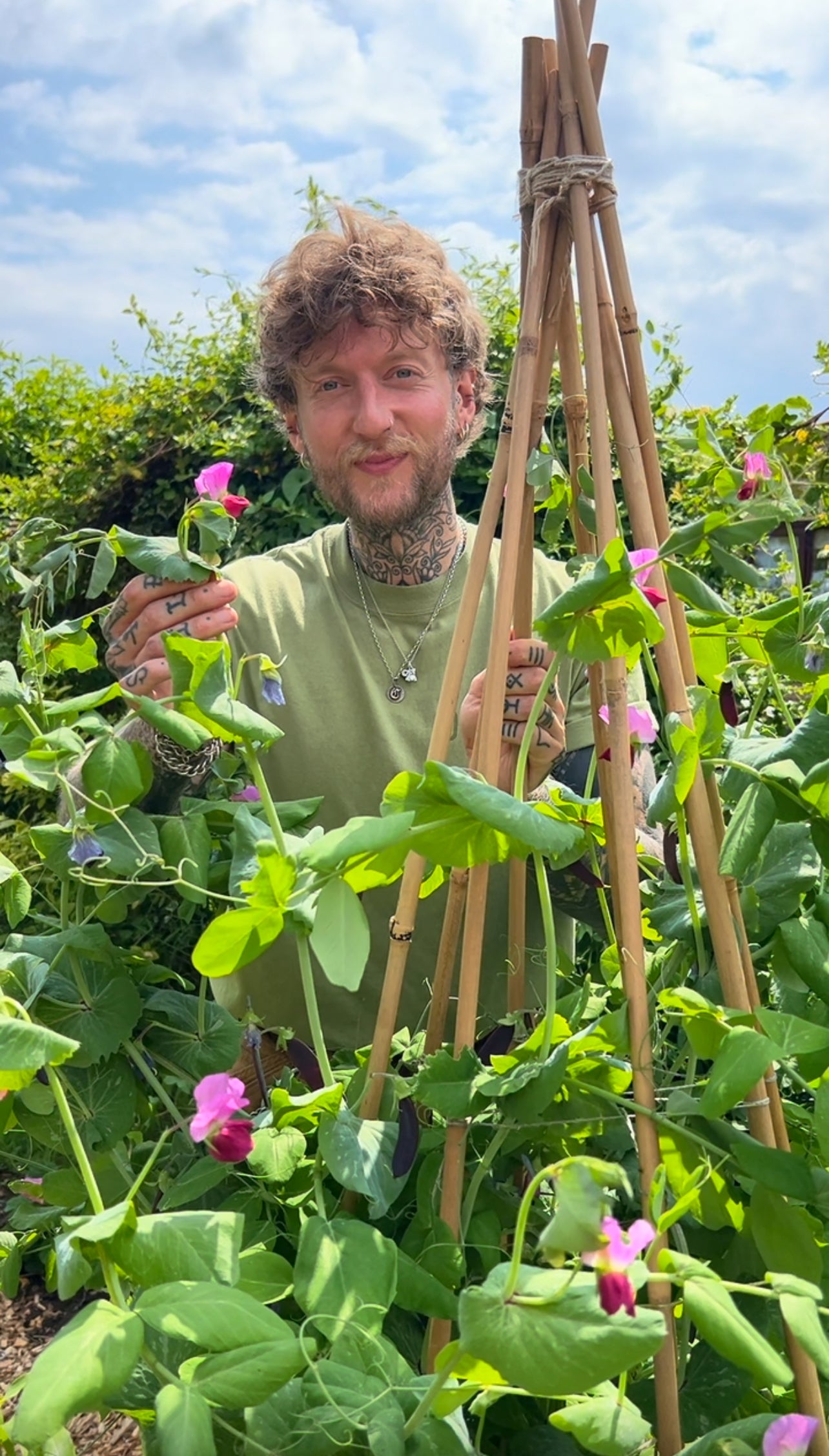 March Organic Seed Pack (UK ONLY)